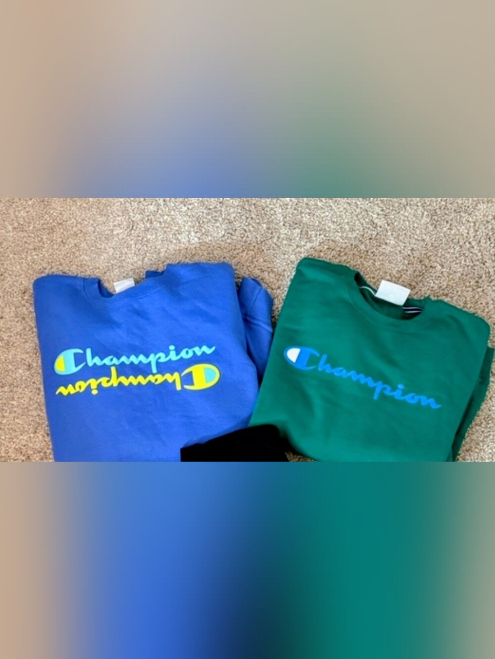 Champion Sweatshirts in Blue and Green